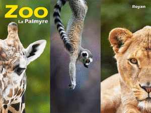 Zoo de La Palmyre